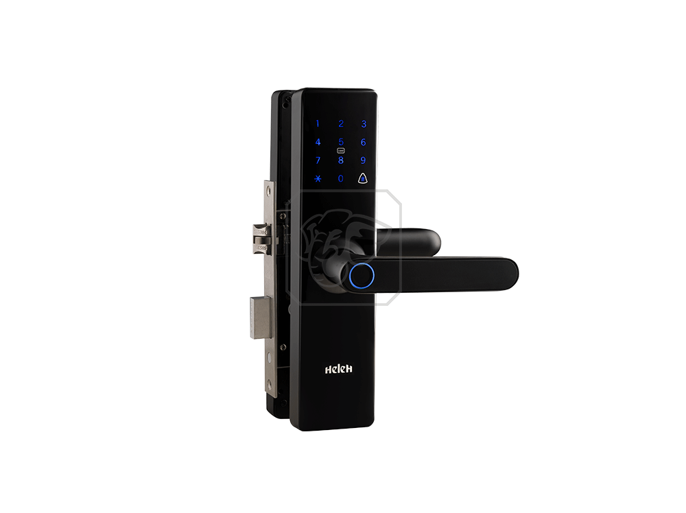 Tay nắm điện tử 18A đen bóng